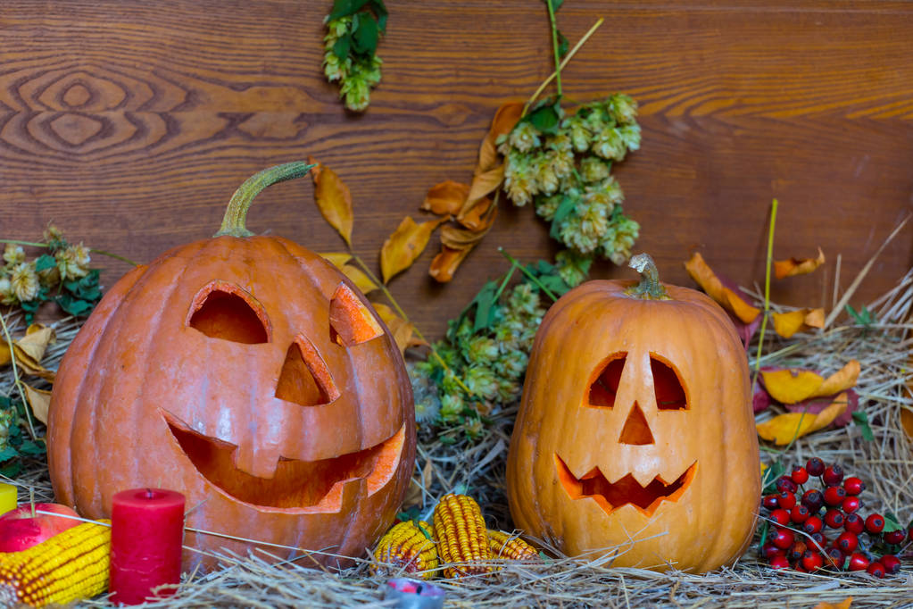 Spooktacular Halloween Decor Hacks to Haunt Your Neighbors!